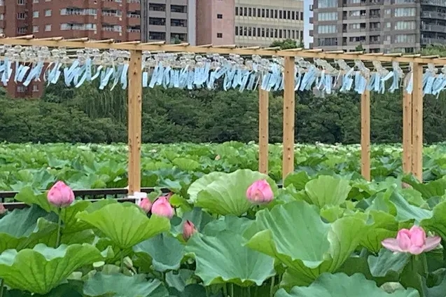 第 75 回上野夏日祭典